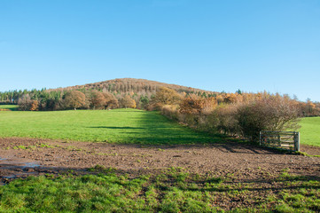 Fototapeta premium Autumn landscape in the English countryside.