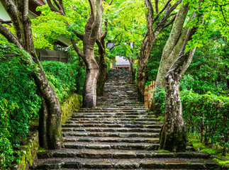 京都　寂光院