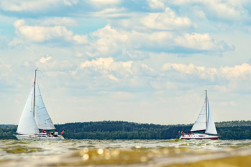 Two sailing yachts goes to the bay on a sunny day against the backdrop of a dense forest on the opposite shore.