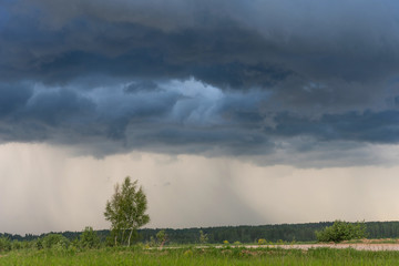 Fototapeta na wymiar Rural landscape green field with dramatic sky. Grey dark sky before thunderstorm in summer.