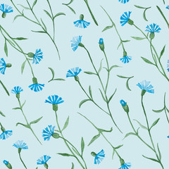 Cornflowers plant with flowers, watercolor painting - seamless pattern on light blue background