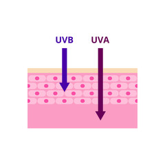 UVA and UVB radiation types vector illustration