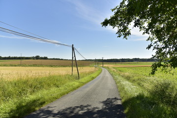 Fototapeta na wymiar Route secondaire de campagne près du bourg de Champagne au Périgord Vert 