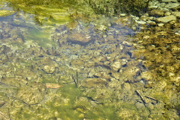 Les eaux cristalline d'un ruisseau au bourg de Fontaine au Périgord Vert