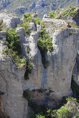 paysage des gorges du Tarn