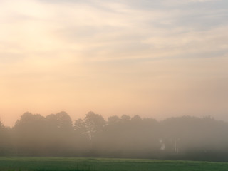 Fototapeta premium fog at dawn over a field of farmland