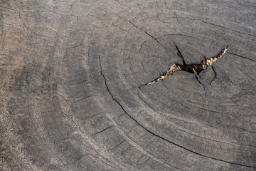 An aged wood texture with wave from center pattern