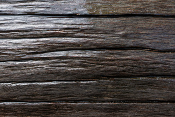 A wet wood after the rain with aged skin txture