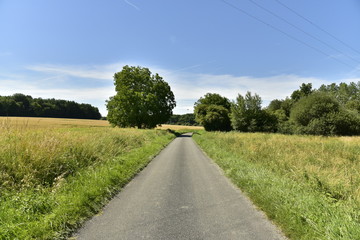 Fototapeta na wymiar Route de campagne traversant champs et bois vers le bourg de Champagne au Périgord Vert