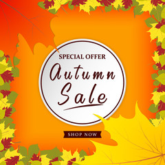 Autumn sale vector poster design with colorful autumn leaves and sale discount text for fall season shopping promotion. Autumn background. Vector illustration.
