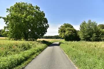 Route de campagne traversant champs et bois vers le bourg de Champagne au Périgord Vert
