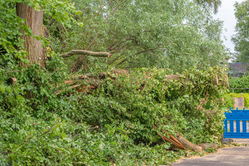 The remains of a fallen tree after a heavy thunderstorm in Berlin, Germany. The road is still closed because branches block the road.
