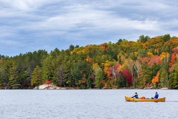 Canoë sur un lac devant une forêt colorée dans le parc Algonquin au Canada, Ontario