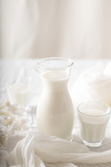Obraz na płótnie Canvas glass of milk