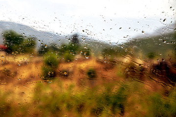 rain drops on the window