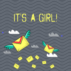 Text sign showing It S A Girl. Business photo text Female baby coming Gender reveal Celebration