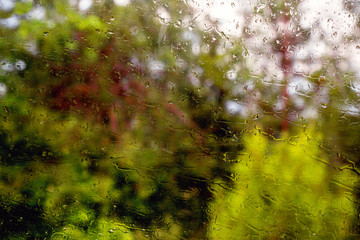 Green abstract background.  Raindrops.