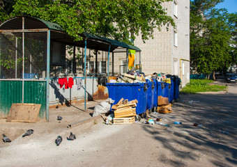 Fototapeta na wymiar trash containers street birds pigeons thieves