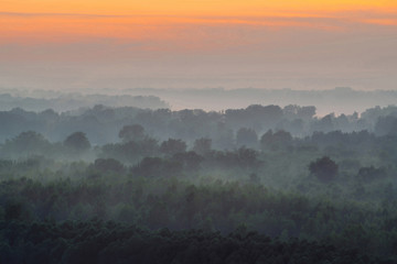 Mystical view from top on forest under haze at early morning. Mist among layers from tree silhouettes in taiga under predawn sky. Calm morning atmospheric minimalistic landscape of majestic nature.