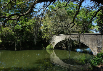 Fototapeta na wymiar A bridge in Audubon Park New Orleans
