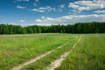 Fototapeta na wymiar Dirt road through green fields, forest on horizon and clouds on blue sky