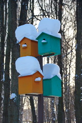feeders and birdhouses in the Park