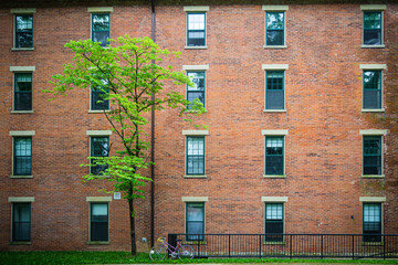 Apartment Building with a Bike