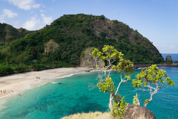 The spectacular beauty of the white sand and blue sea on the Koka beach, Maumere, Flores, Indonesia, seen from the top of the meadow hill