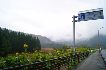 SONY DSC