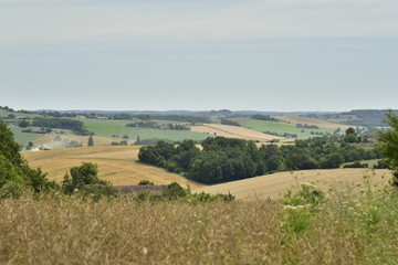 Vue panoramique depuis un champs d'orge du paysage typique du Périgord Vert