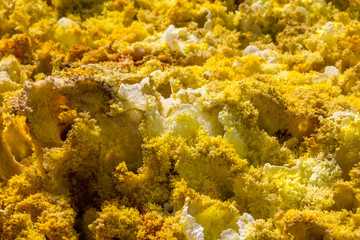 Dallol Sulphur springs and pools Danakil Depression Ethiopia.   The Sulphur springs create the unearthly colourful and beautiful landscape