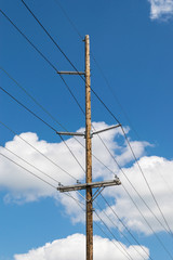 Utility Electrical Pole
