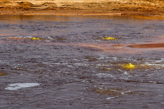 yellow sulphur springs lake in Dallol, Afar region of the Danakil Depression 