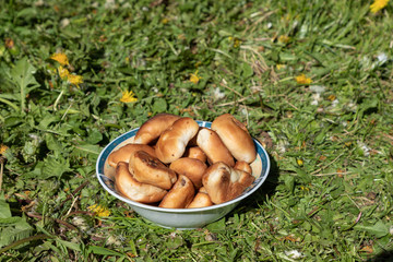 bake tasty meat in a green meadow