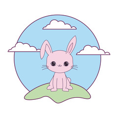 cute rabbit animal in landscape