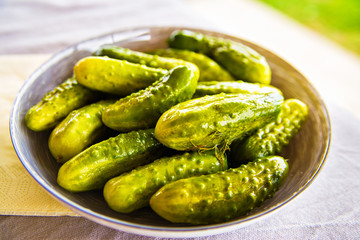 Homemade marinade cucumbers with spices