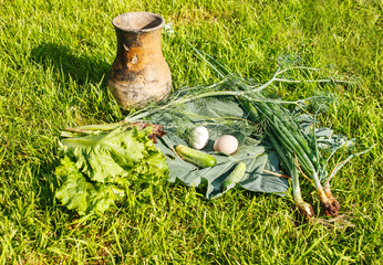 vegetables and eggs with brown jug on green grass