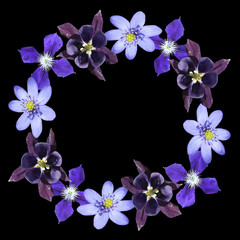 Beautiful floral circle of liverwort, aquilegia and clematis. Isolated