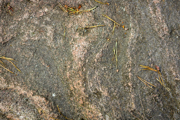 Texture of wild natural stone