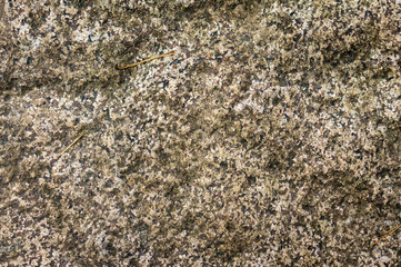 Texture of wild natural stone