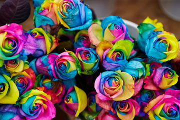 Fototapeta na wymiar Multi colored dyed roses at flower shop 