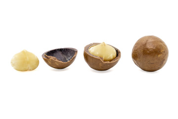 Macadamia nut isolated on white background.