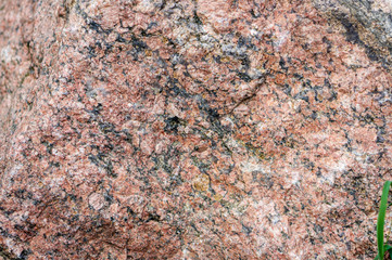 Texture of wild natural stone