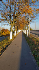 Autumn sunset over the road in perspective