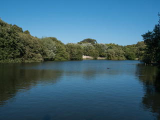Lake in city park of Porto, Portugal in Matosinhos. Bright sunny day with blue sky and lots of trees.