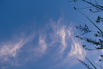 blue sky with clouds