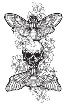 tattoo_butterfly_skull and flower