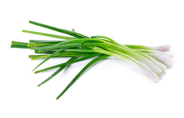 Green onion isolated on the white background