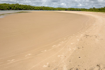 The coast of Sauipe on Bahia, Brazil