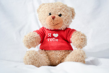 teddy bear with red heart